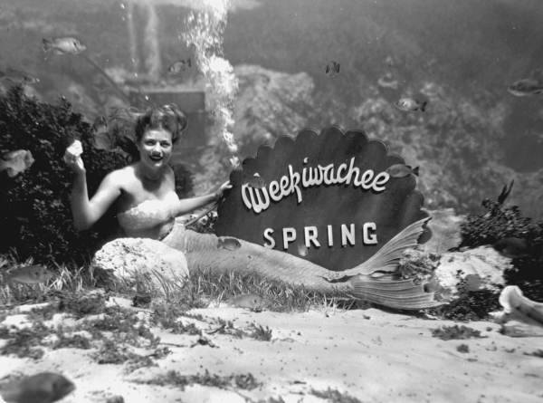 A mermaid posing with an underwater sign at Weeki Wachee Springs in 1947. Photo courtesy of State Archives of Florida, Florida Memory