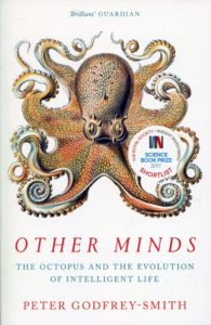 ocean reads