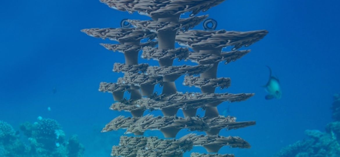 3D artificial reef