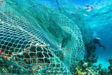 A diver tries to untangle a massive ghost fishing net from a coral reef in the Bahamas. It was recently estimated that 46 percent of the plastic pollution in our oceans is made of abandoned fishing gear. Image made on Eleuthera Island, Bahamas. Shot with: Nikon D500, Aquatica housing and Mini Dome, Tokina 10-17mm fisheye lens and twin Sea&Sea YS250 strobes