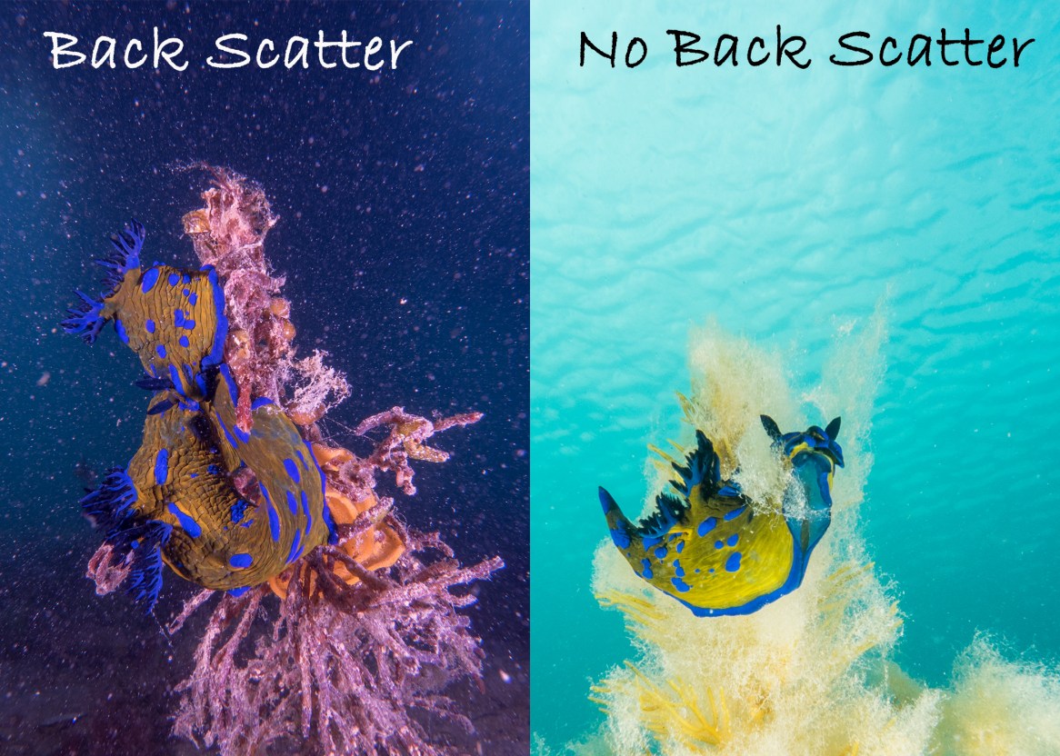 back scatter