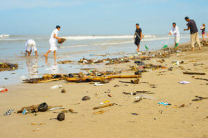 ocean conservation