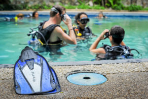 bargain dive courses