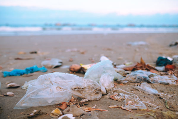 ocean conservation