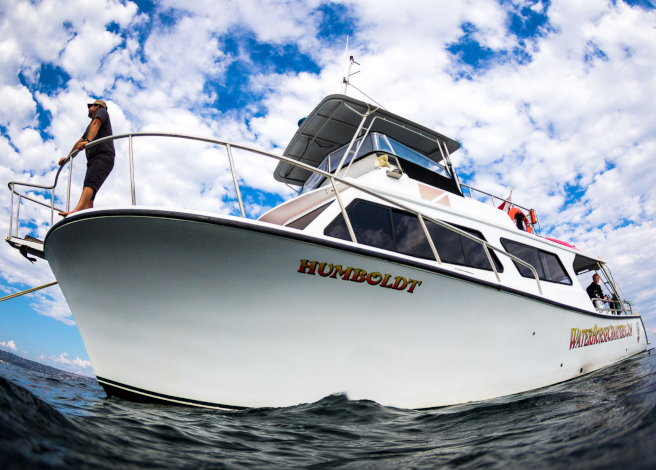 boat diving and covid