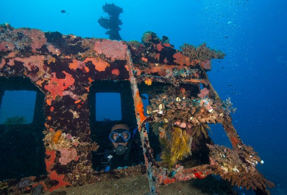 Bonzer Wreck (photo credit: Jayne Jenkins)