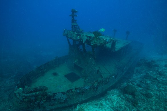 Bonzer Wreck ( photo credit: Jayne Jenkins)