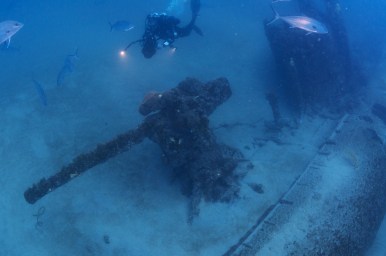 A NOAA diver and curious fish survey the deck gun of U-701. Photo: Tane Casserley, NOAA