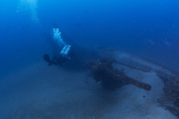 Currents partially buried U-701 in the sand, but its deck gun rises as a prominent feature. Photo: Tane Casserley, NOAA
