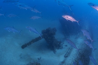 U-701