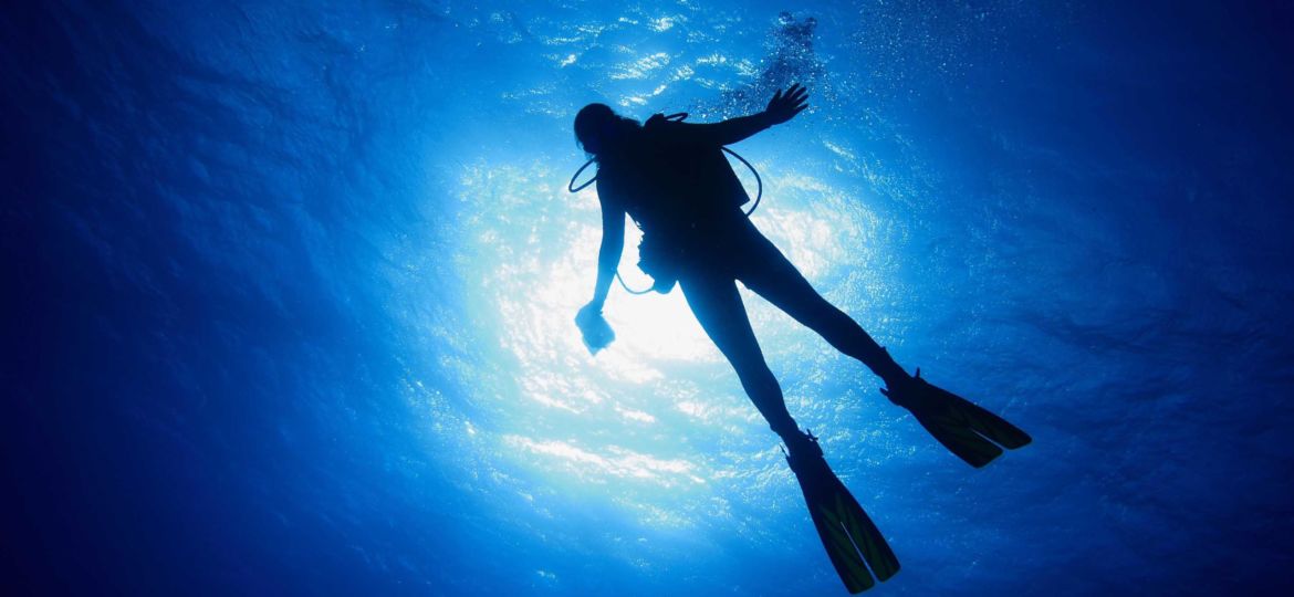 Diver.jpg