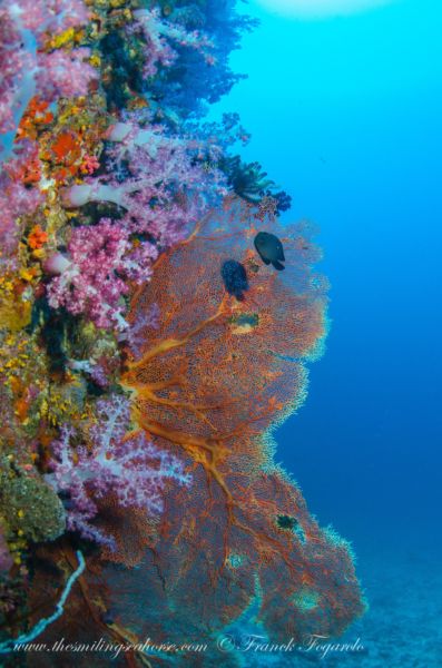 Mergui Archipelago