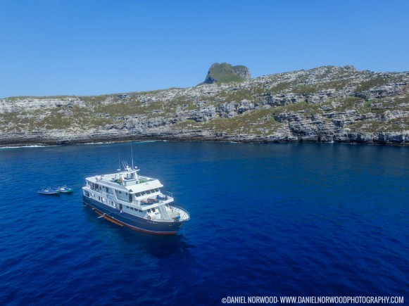 When you’re diving in the Galapagos, you’ll almost certainly have the entire site to yourself. Photo credit: Daniel Norwood