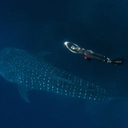 Galapagos Evolution Expedition