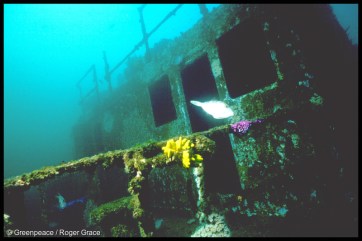 Wheelhouse of the old Rainbow Warrior. Off Cavalli Island, New Zealand. (courtesy Greenpeace)