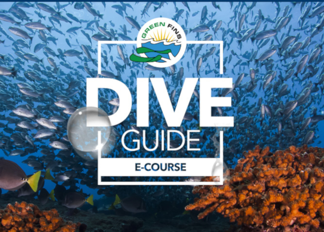 Green Fins Dive