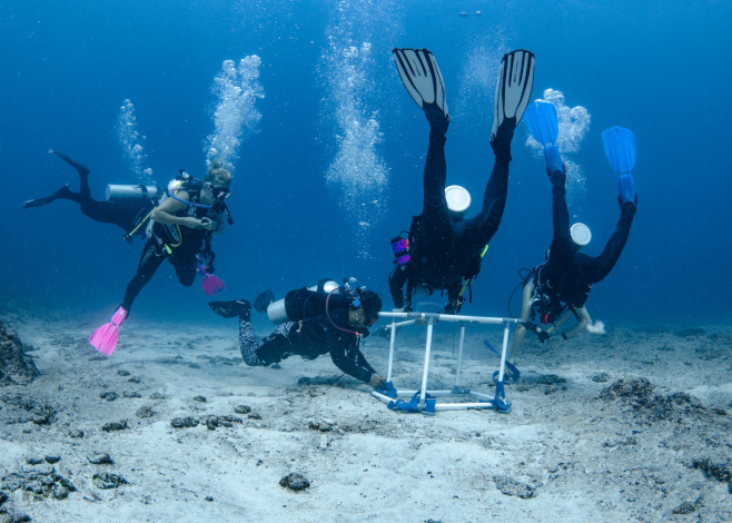 help the ocean