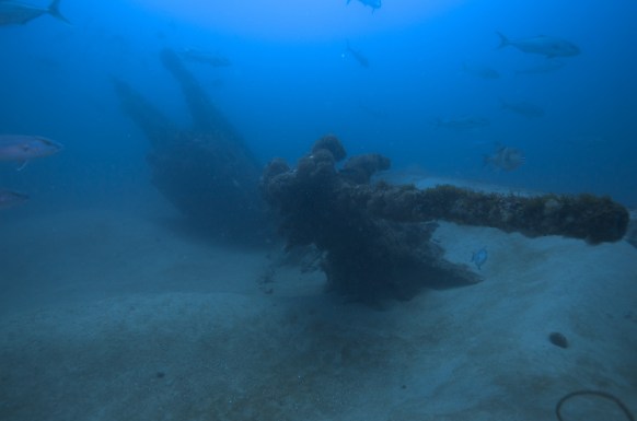 U-701