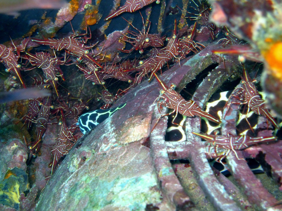 Boonsung wreck