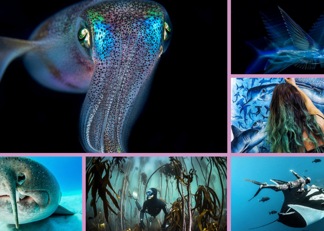 Ocean Instagrammers