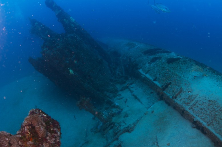 U-701