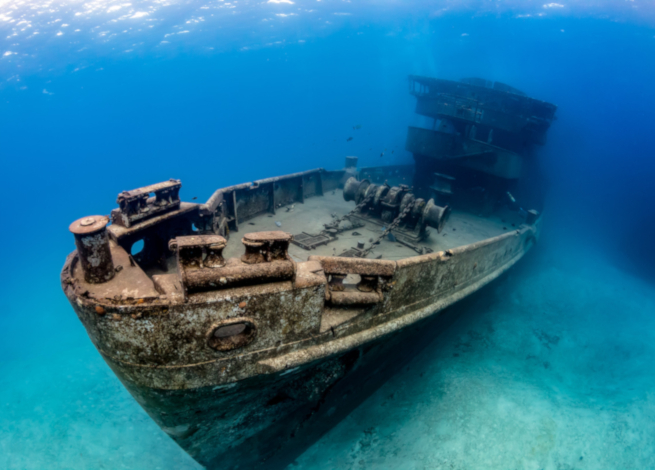 november dive destinations