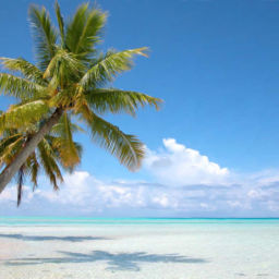 bahamas
