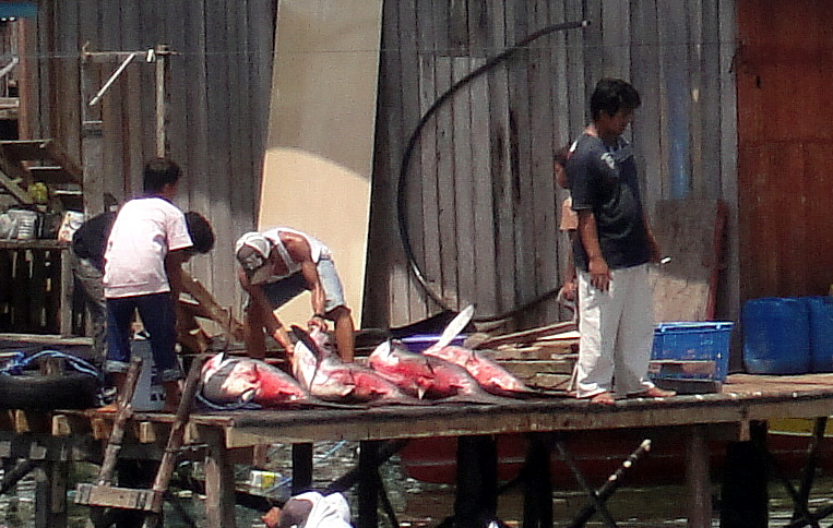 Mabul-Island.jpg
