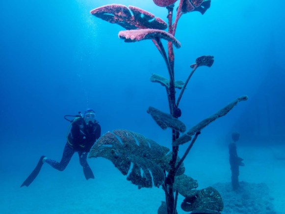 Museum of Underwater Art in Townsville