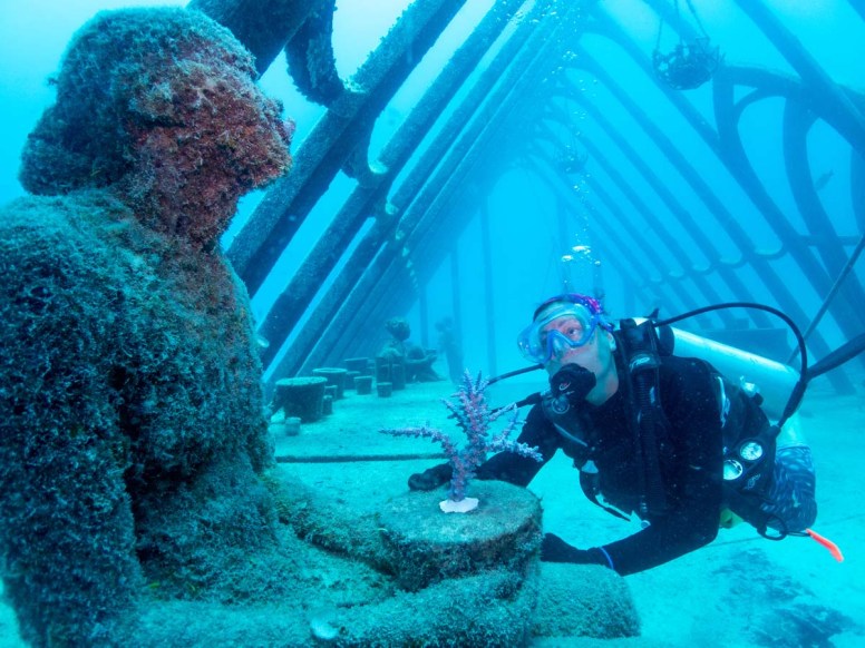 Museum of Underwater Art in Townsville