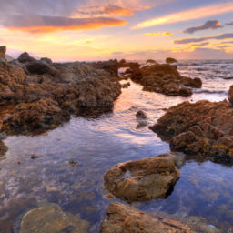 Best Dive Sites in New Zealand