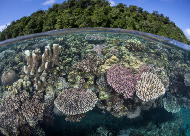 October dive destinations