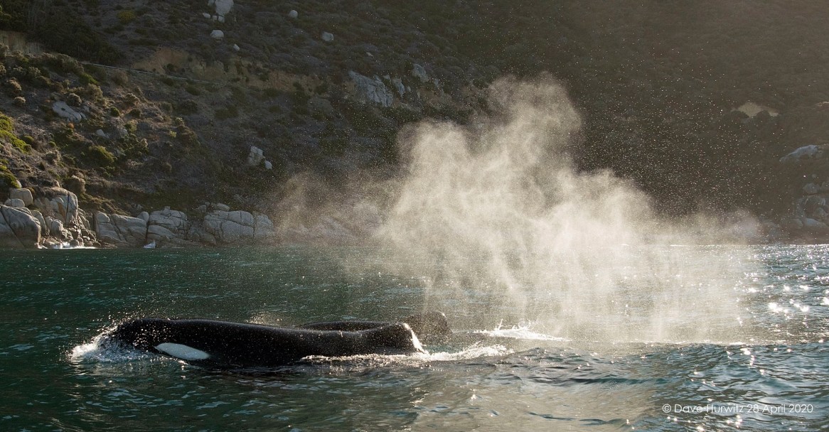 False Bay