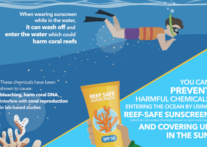 reef safe featured