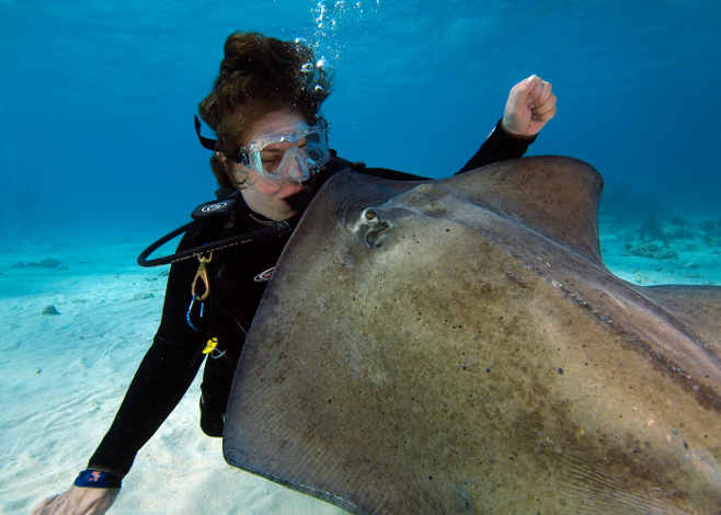 Dive Travel Regrets