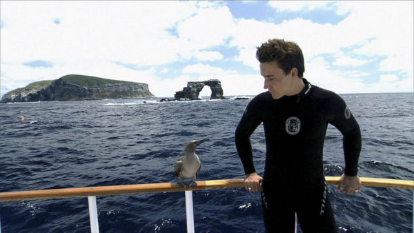 Rob Stewart