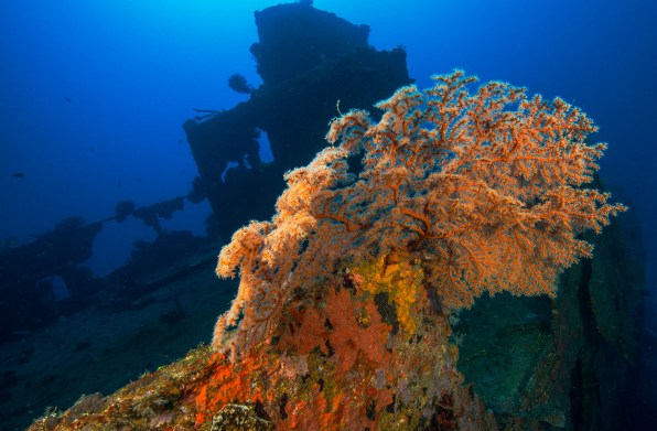 Semele Federesen wreck (photo credit: Jayne Jenkins)