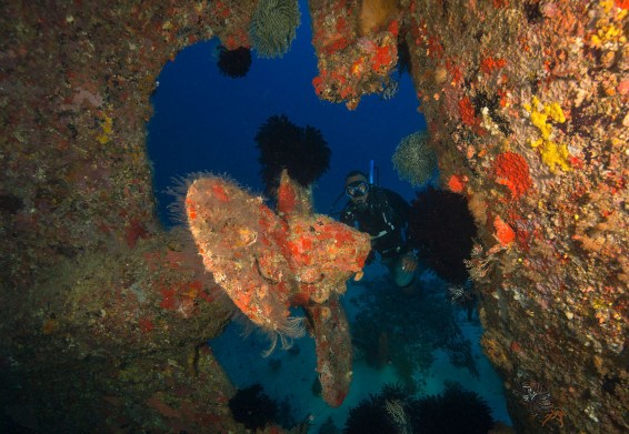 Semele Federesen wreck (photo credit: Jayne Jenkins)