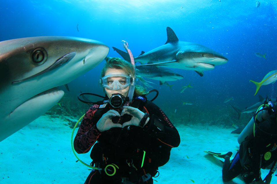Despite common misperceptions, sharks are not in fact out to kill you. (Credit: Hayley-Jo Carr)