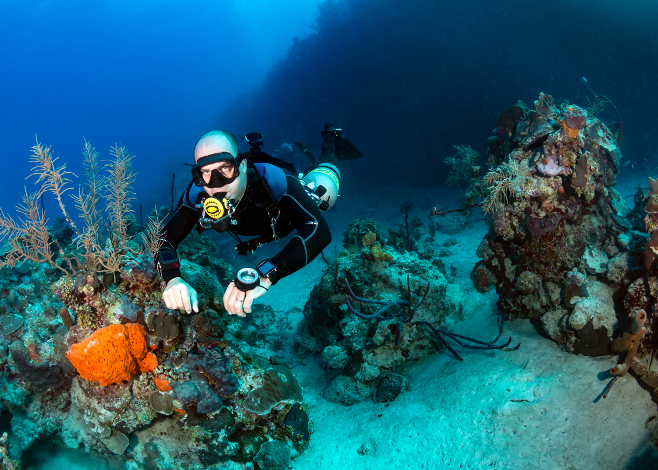 Sidemount diving