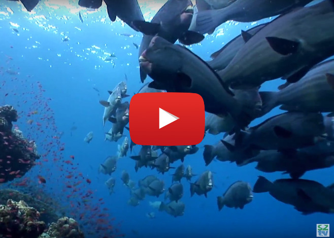 sipadan_featured