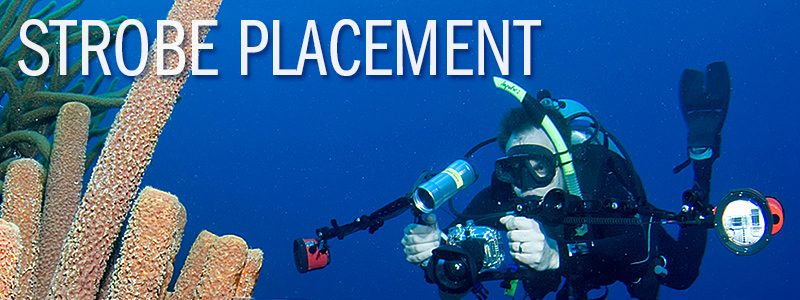 strobe-placement-2014.jpg
