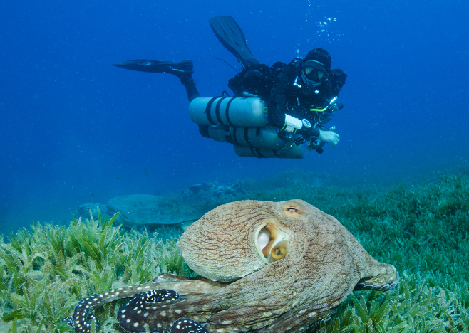 Technical Diving Myths