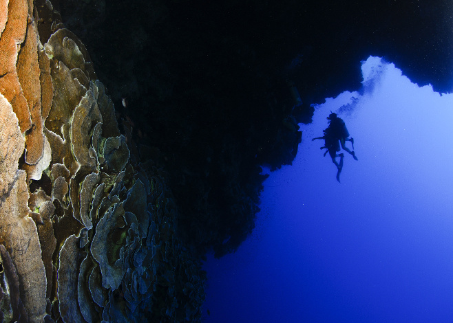 tech dives