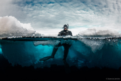 Arctic Diver