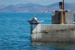 La Paz marina
