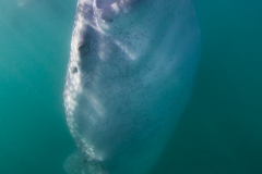 Vertical feeding