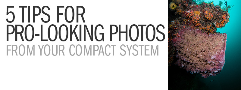 tips-pro-looking-photos-with-compacts.jpg