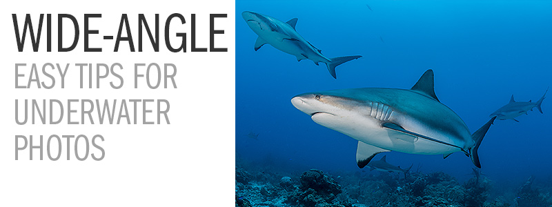 tips-wide-angle.jpg