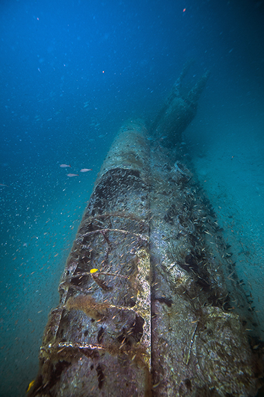 U-352